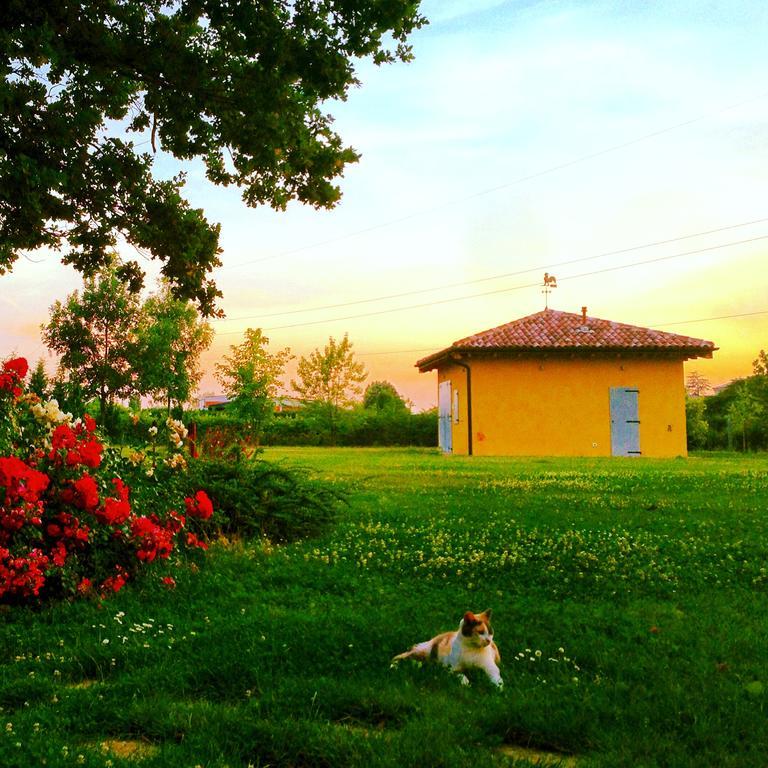 Vigorso 41 Country House Budrio  Kültér fotó